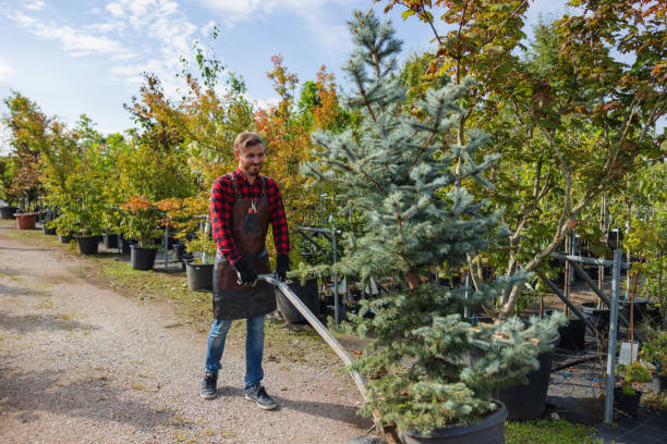 Best Leaf Removal  in Cottage Grove, MN